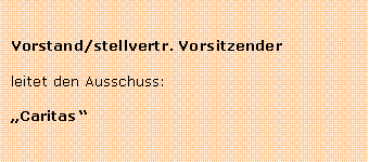 Textfeld: Vorstand/stellvertr. Vorsitzenderleitet den Ausschuss: Caritas 